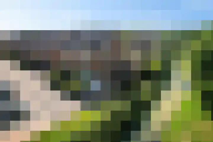 Tamboer 11 Heerenveen thumbnail 46