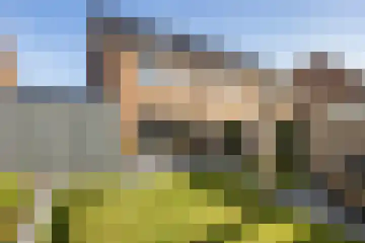 Tamboer 11 Heerenveen thumbnail 5