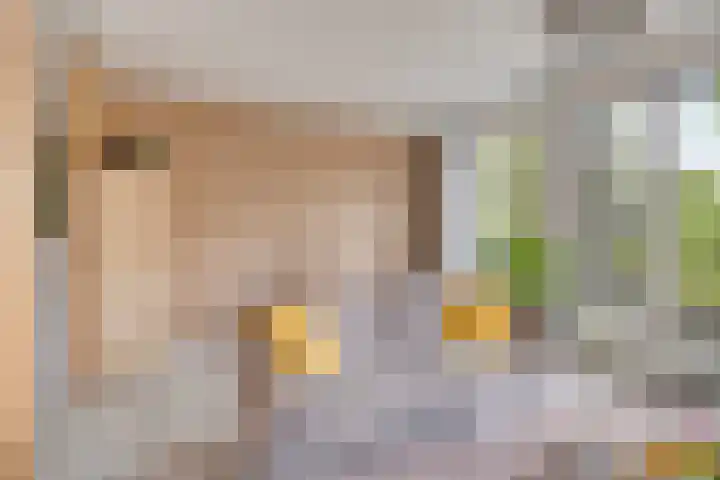 Tamboer 13 Heerenveen thumbnail 11