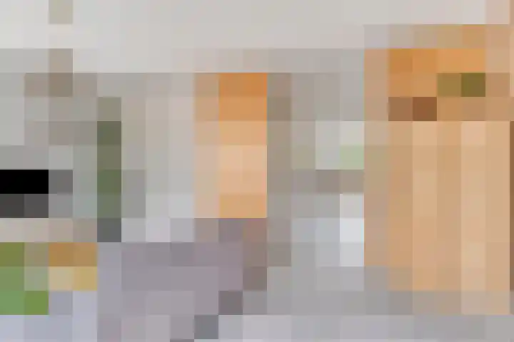 Tamboer 13 Heerenveen thumbnail 12
