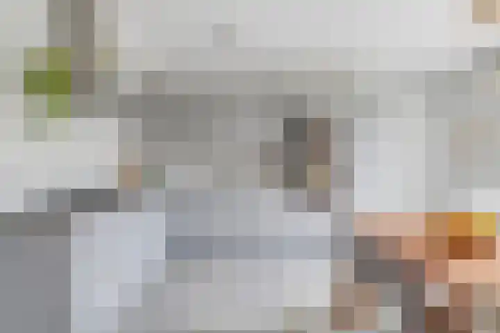 Tamboer 13 Heerenveen thumbnail 16