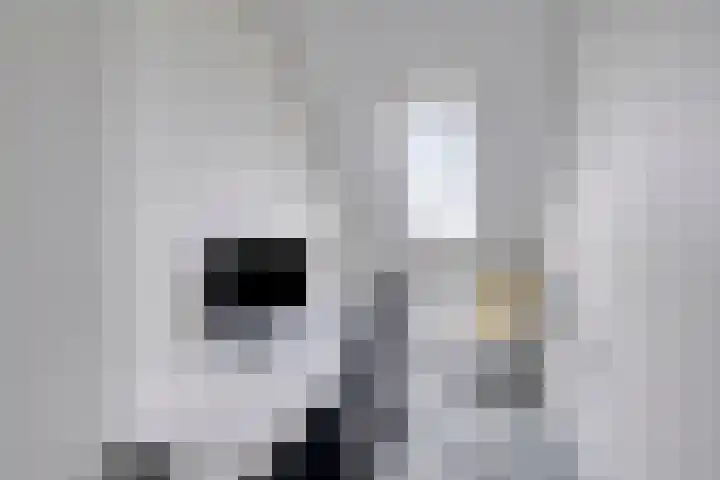 Tamboer 13 Heerenveen thumbnail 35
