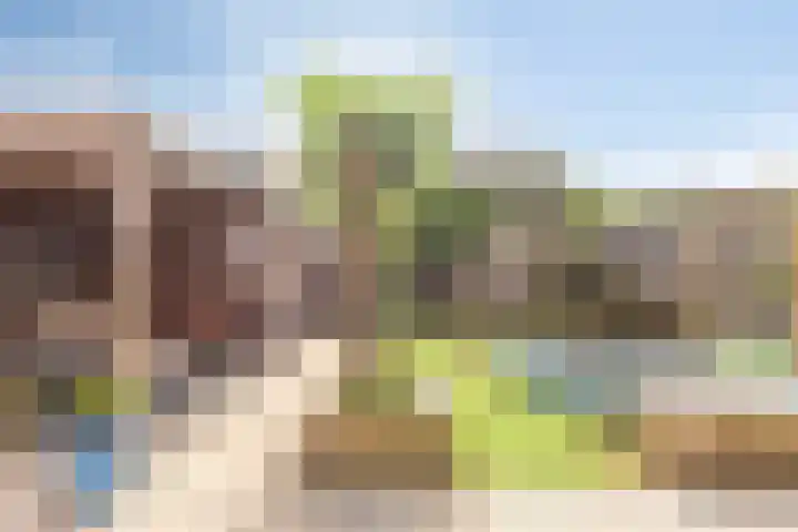 Tamboer 13 Heerenveen thumbnail 36