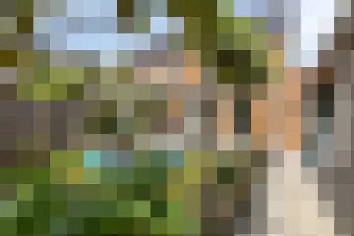 Tamboer 13 Heerenveen thumbnail 40