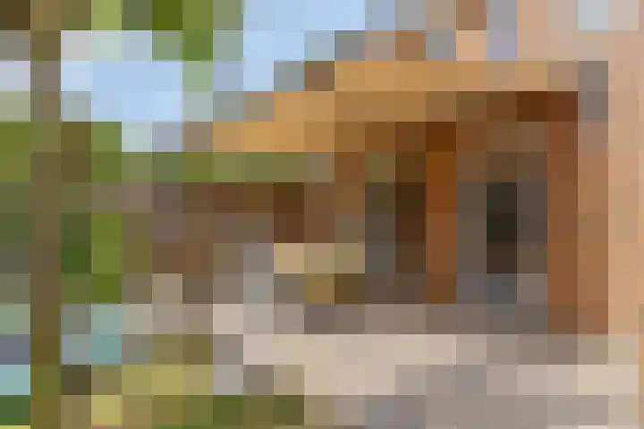 Tamboer 13 Heerenveen thumbnail 42