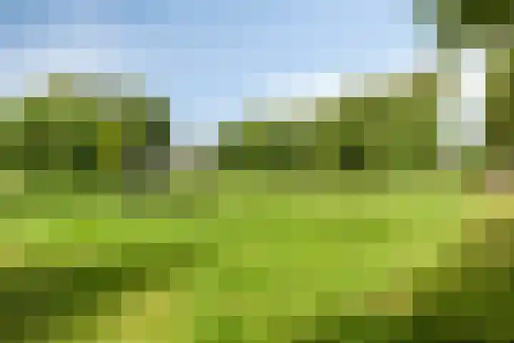 Tamboer 13 Heerenveen thumbnail 44