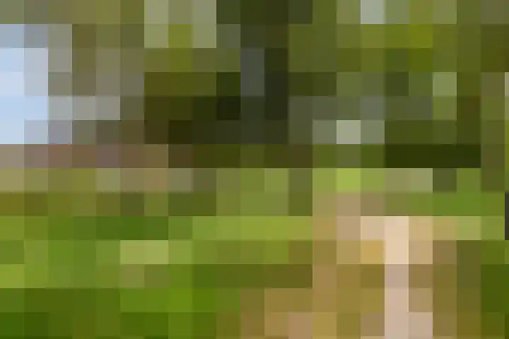 Tamboer 13 Heerenveen thumbnail 45