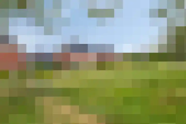 Tamboer 13 Heerenveen thumbnail 46