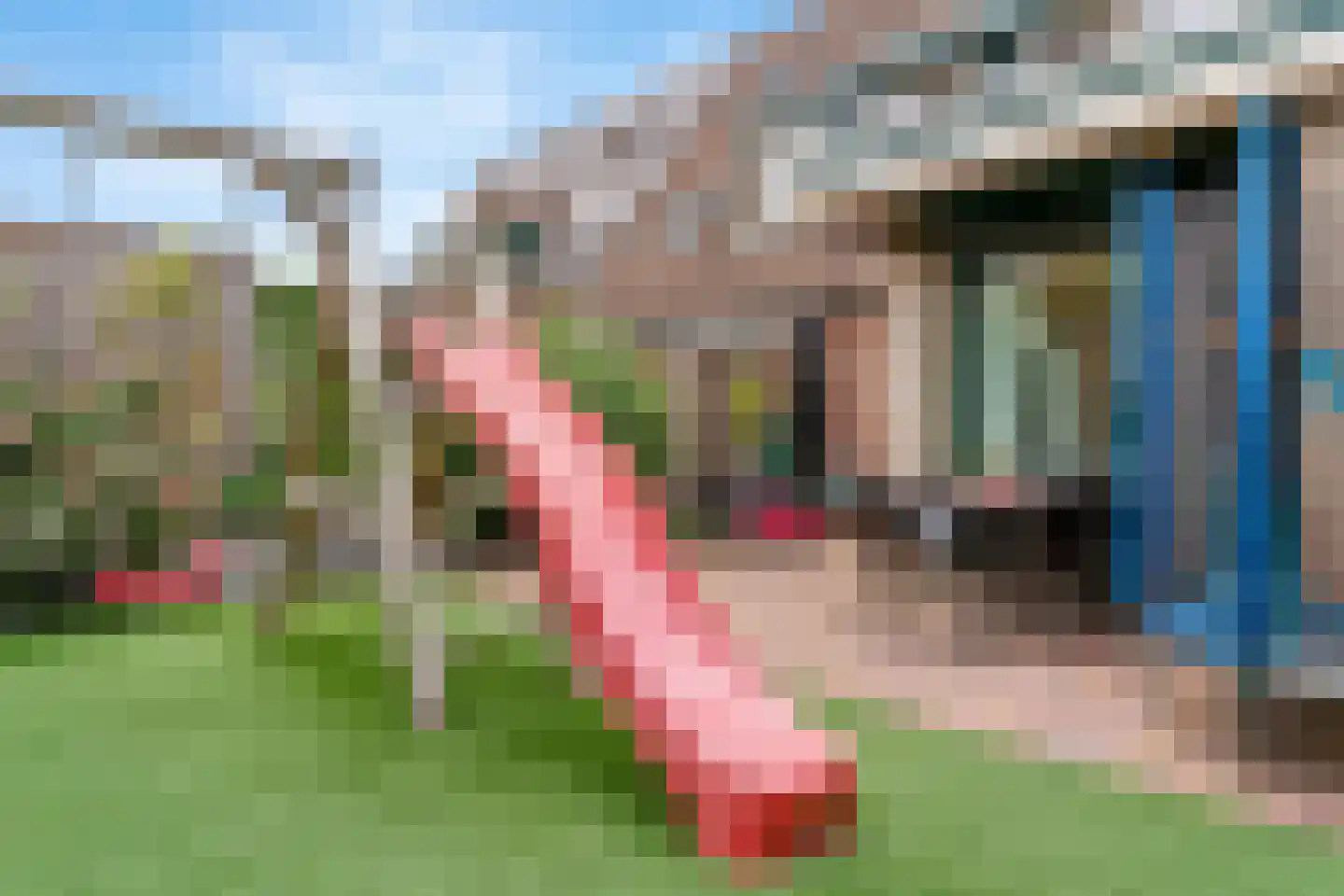 Tamboer 147 Heelsum thumbnail 38