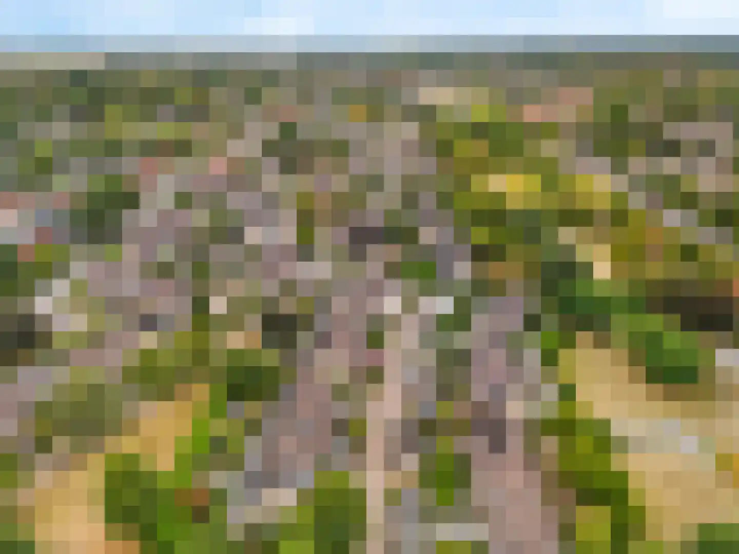 Tamboer 147 Heelsum thumbnail 47