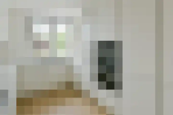 Tamboer 15 De Kwakel thumbnail 12