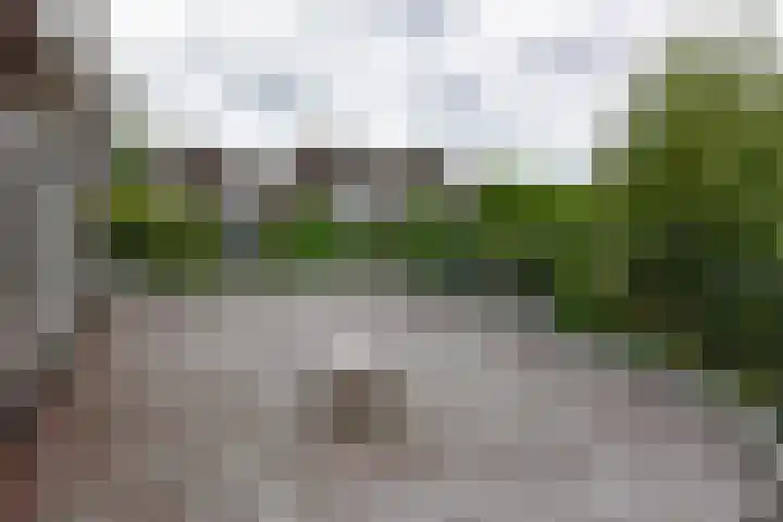 Tamboer 15 De Kwakel thumbnail 28