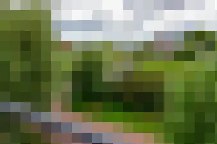 Tamboer 15 De Kwakel thumbnail 30