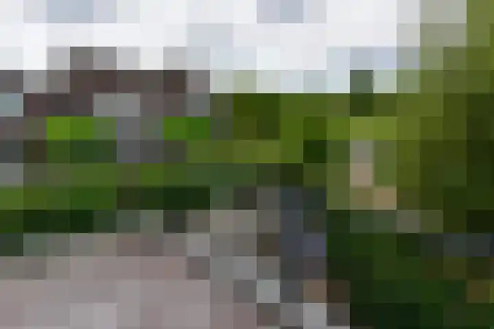 Tamboer 15 De Kwakel thumbnail 31