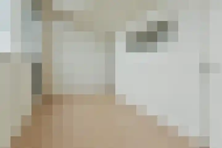 Tamboer 15 De Kwakel thumbnail 35
