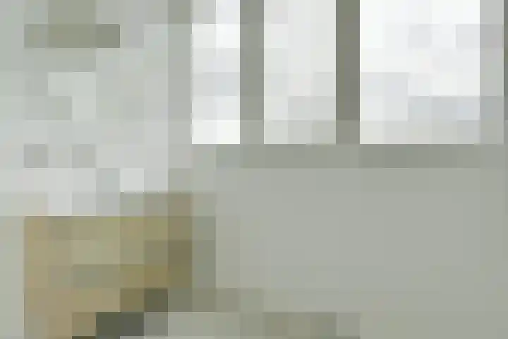 Tamboer 15 De Kwakel thumbnail 37