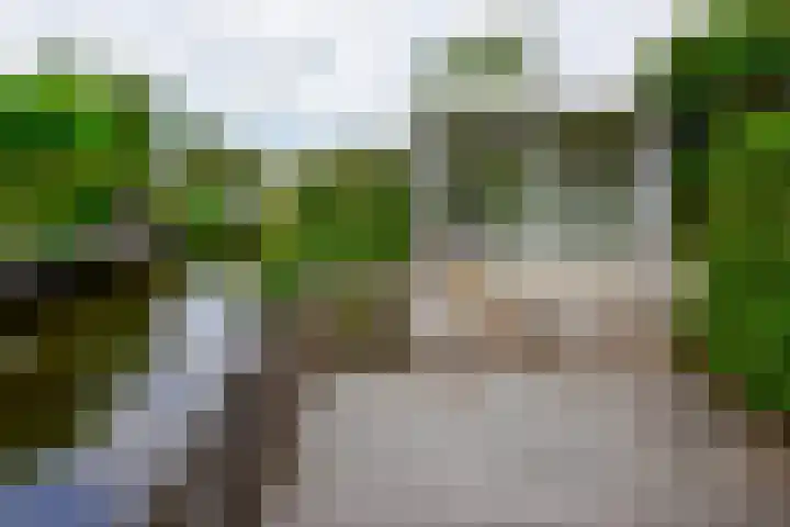 Tamboer 15 De Kwakel thumbnail 43