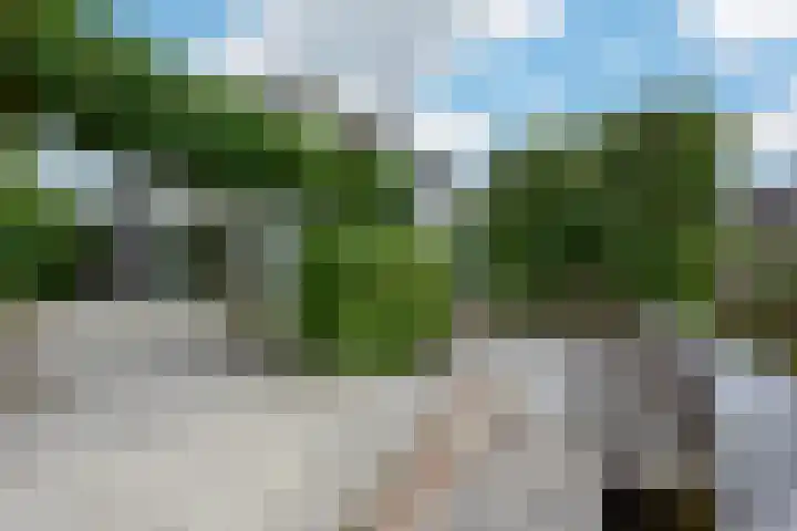 Tamboer 15 De Kwakel thumbnail 45