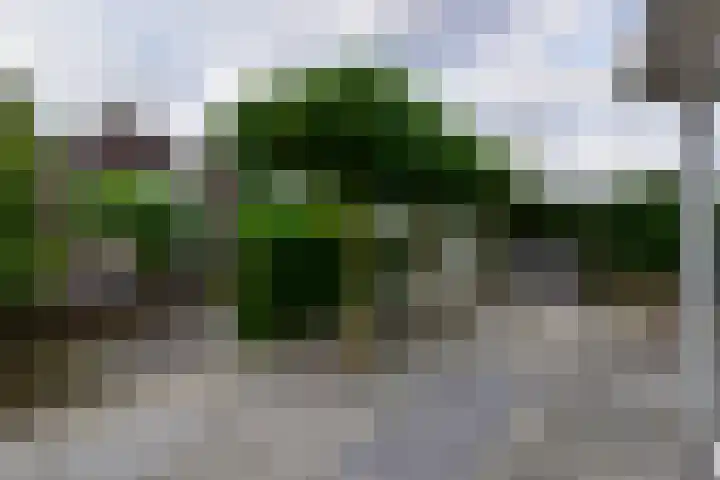 Tamboer 15 De Kwakel thumbnail 46