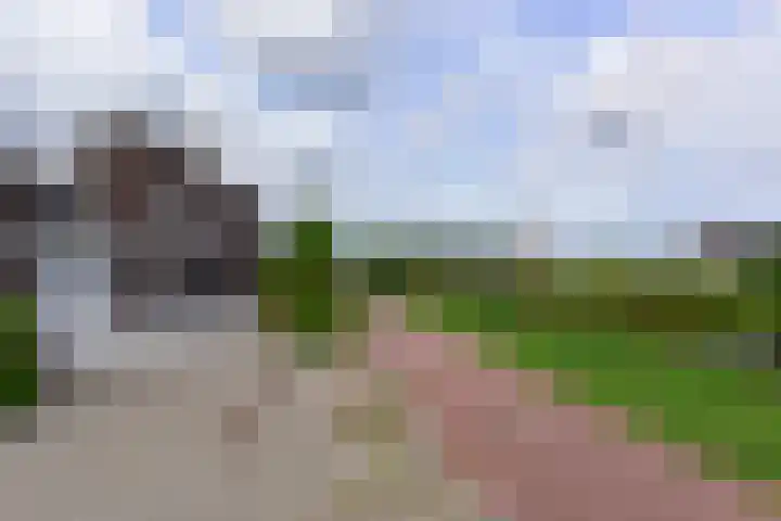 Tamboer 15 De Kwakel thumbnail 47