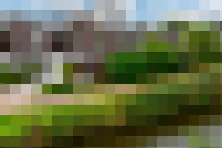 Tamboer 15 De Kwakel thumbnail 48