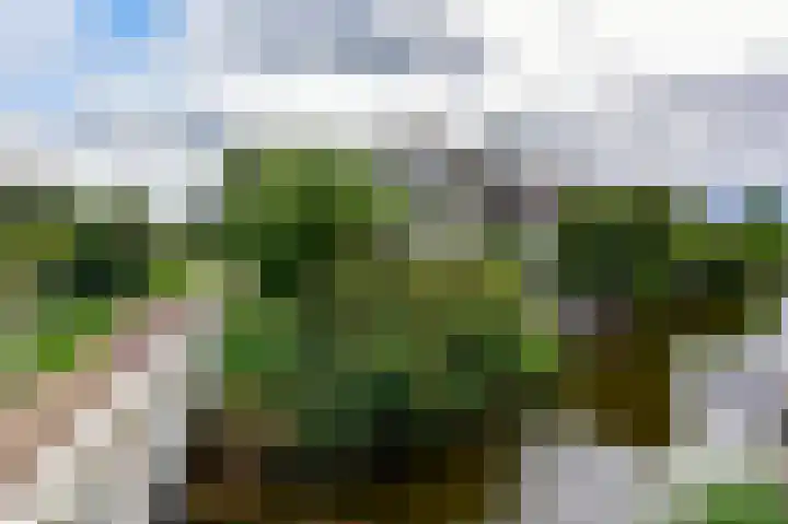 Tamboer 15 De Kwakel thumbnail 49
