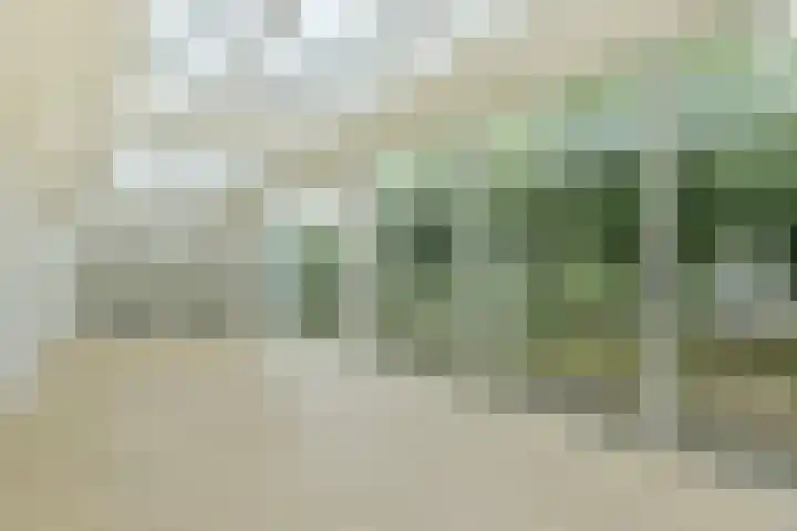 Tamboer 15 De Kwakel thumbnail 5