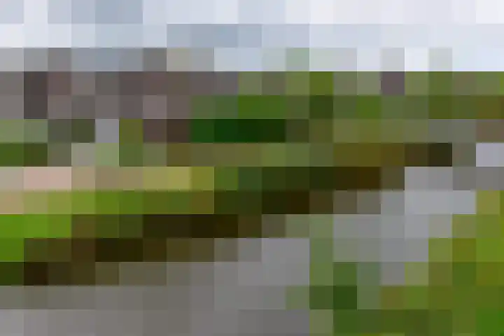 Tamboer 15 De Kwakel thumbnail 50