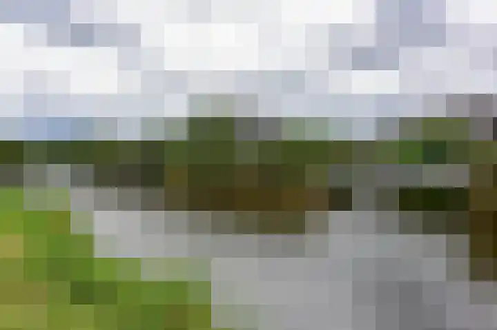Tamboer 15 De Kwakel thumbnail 51