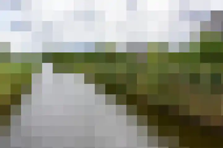 Tamboer 15 De Kwakel thumbnail 52