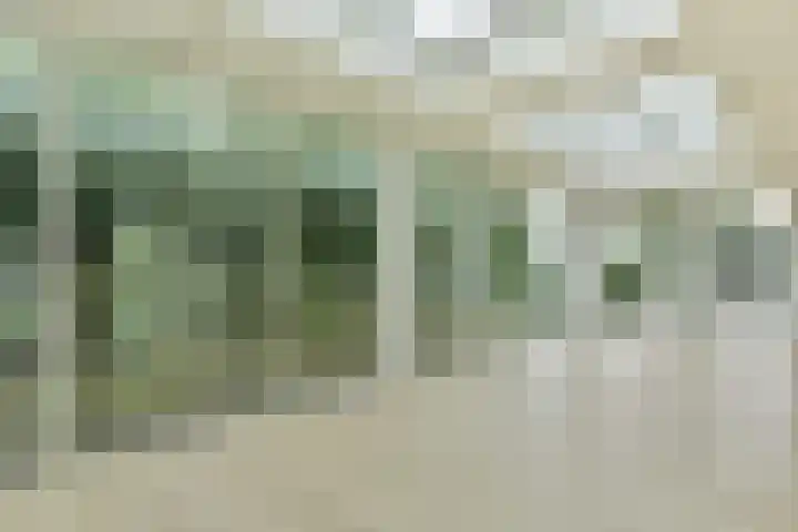 Tamboer 15 De Kwakel thumbnail 6