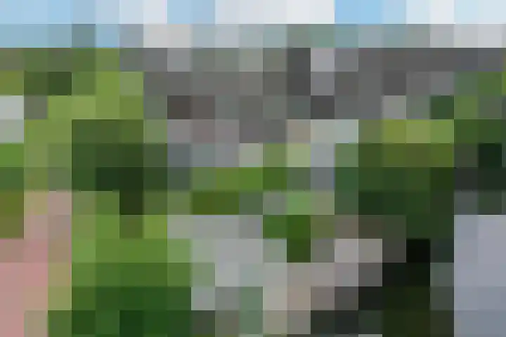 Tamboer 15 De Kwakel thumbnail 63
