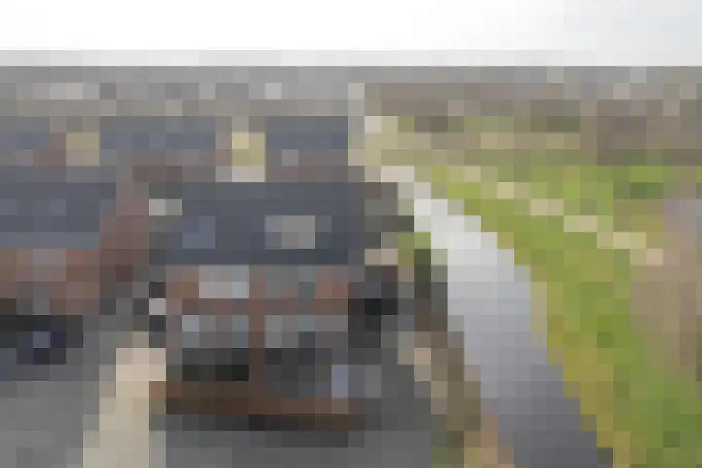 Tamboer 15 Heerenveen thumbnail 48