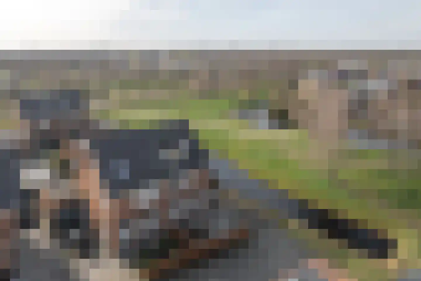 Tamboer 15 Heerenveen thumbnail 49