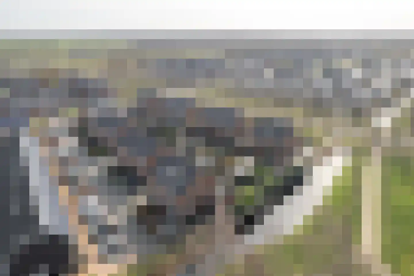 Tamboer 15 Heerenveen thumbnail 51