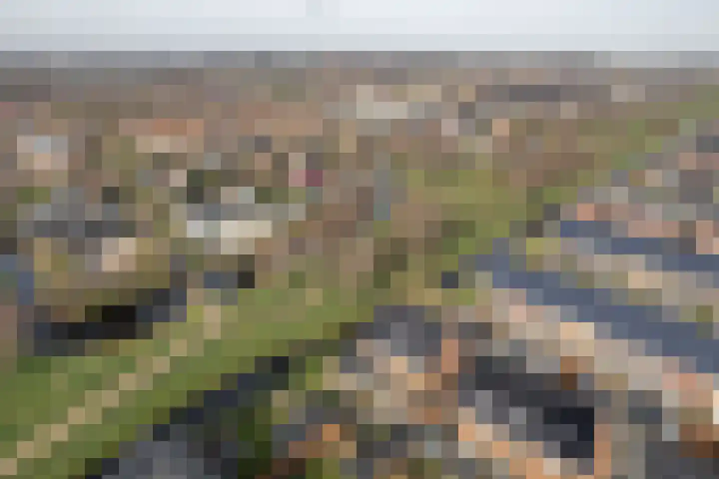 Tamboer 15 Heerenveen thumbnail 53