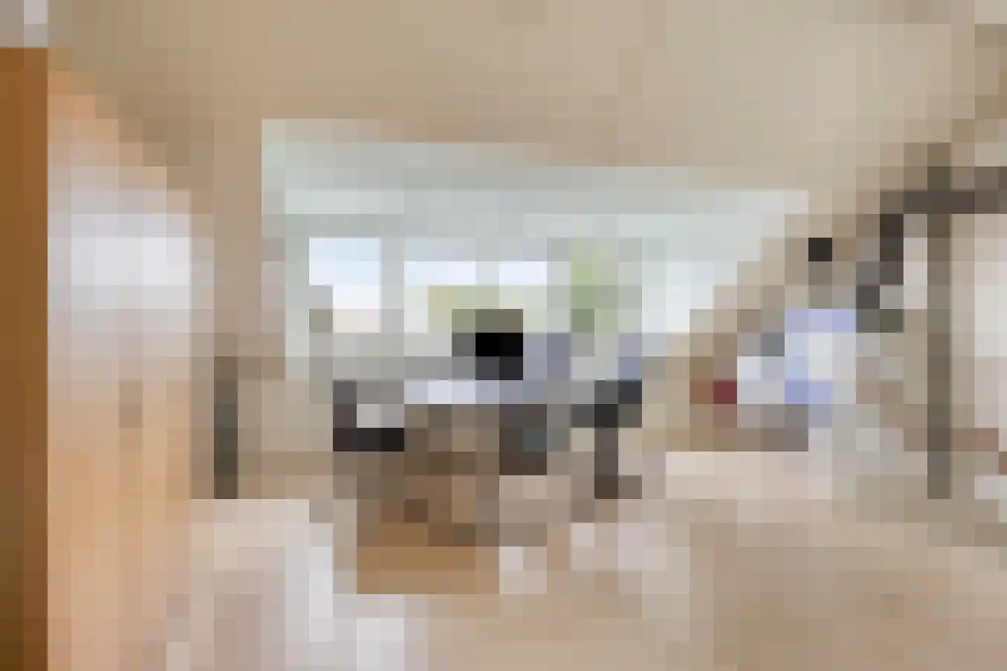 Tamboer 21 Best thumbnail 29
