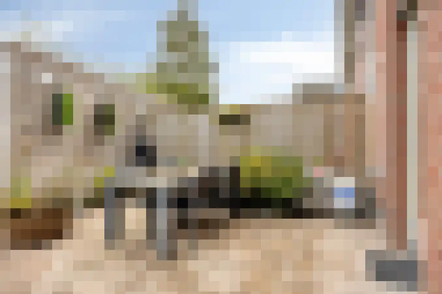 Tamboer 21 Best thumbnail 31