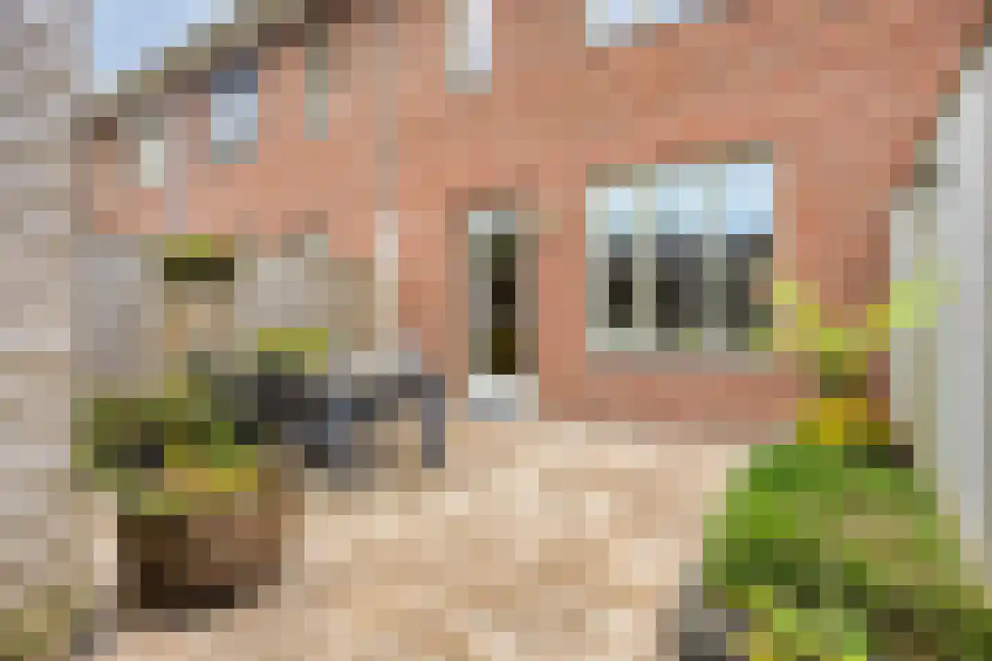 Tamboer 21 Best thumbnail 32
