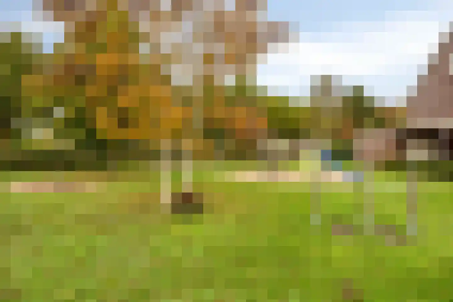 Tamboer 21 Best thumbnail 35