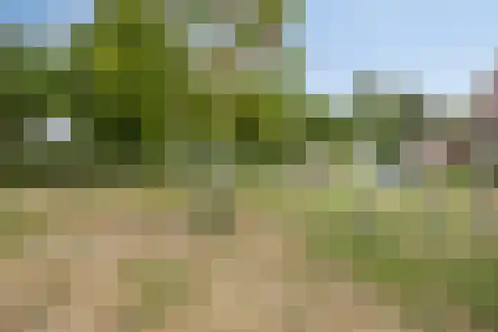 Tamboer 48 Best thumbnail 34