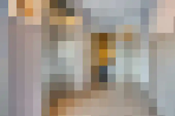 Tamboer 48 Best thumbnail 6