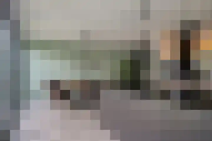 Tamboer 58 Bergeijk thumbnail 13