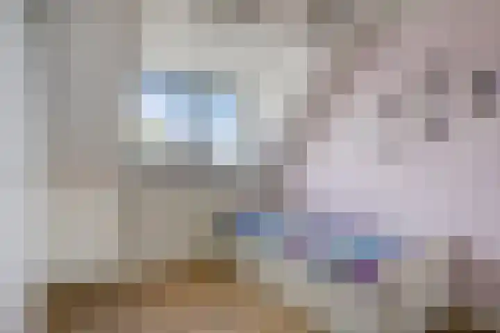 Tamboer 58 Bergeijk thumbnail 19