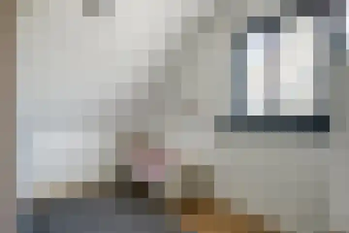 Tamboer 58 Bergeijk thumbnail 21