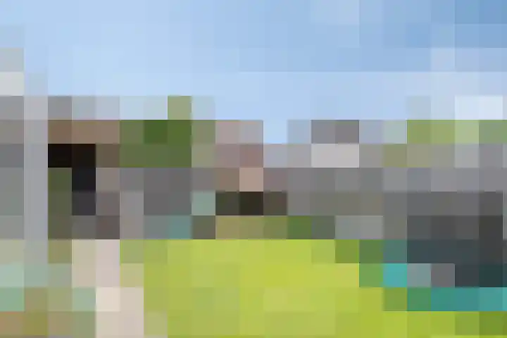 Tamboer 58 Bergeijk thumbnail 26