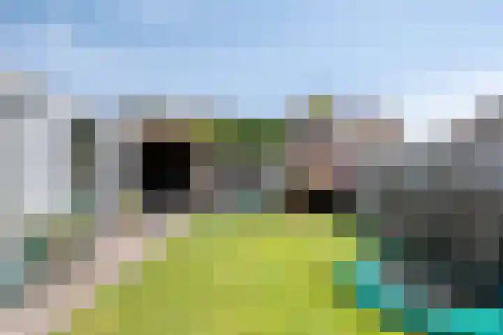 Tamboer 58 Bergeijk thumbnail 27