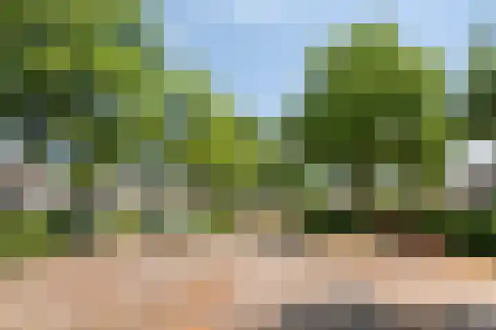 Tamboer 58 Bergeijk thumbnail 31