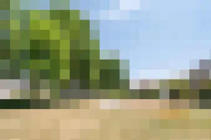 Tamboer 58 Bergeijk thumbnail 32