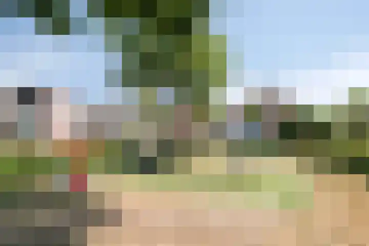 Tamboer 58 Bergeijk thumbnail 33